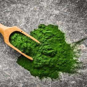 Chlorella algae ingredient