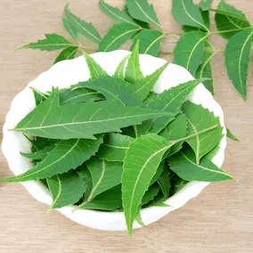 Neem leaf ingredient
