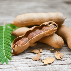 Tamarind fruit ingredient